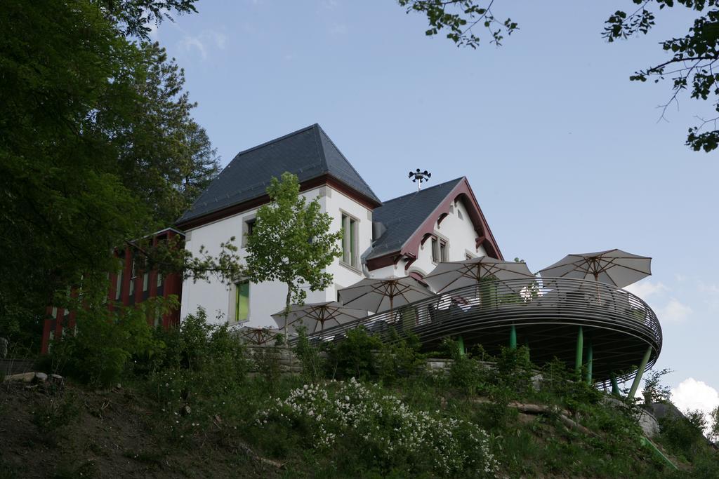 Sorell Hotel Rigiblick - Studios & Spa Suites Цюрих Экстерьер фото
